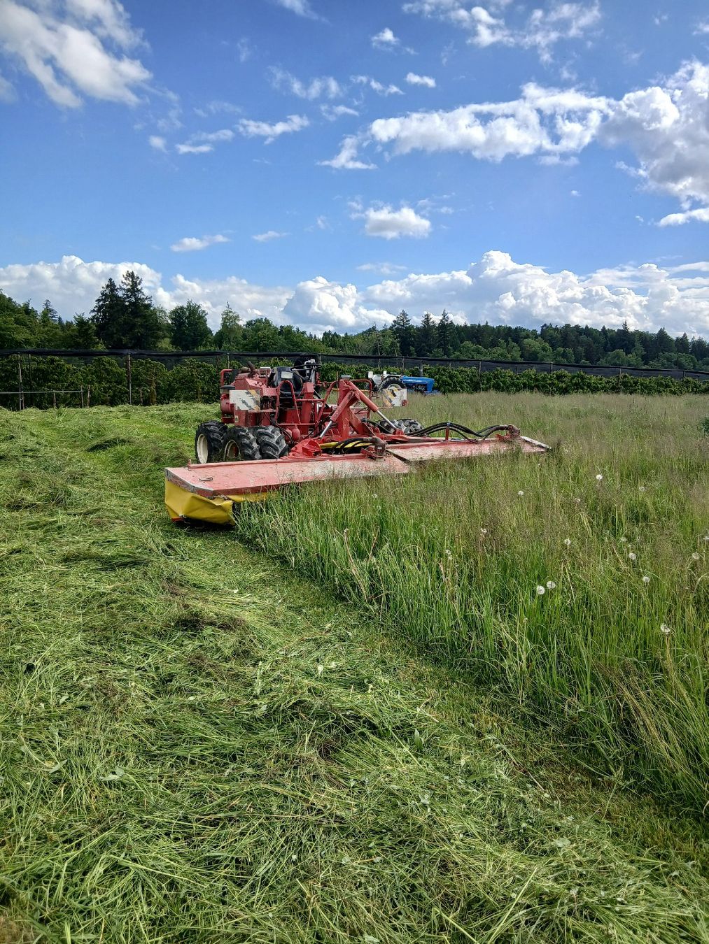Deutz Trattori: Selbstfahrender Mähtrak mit 5m Arbeitsbreite – Usato da Wiliberg venduto da Deutzpower 1