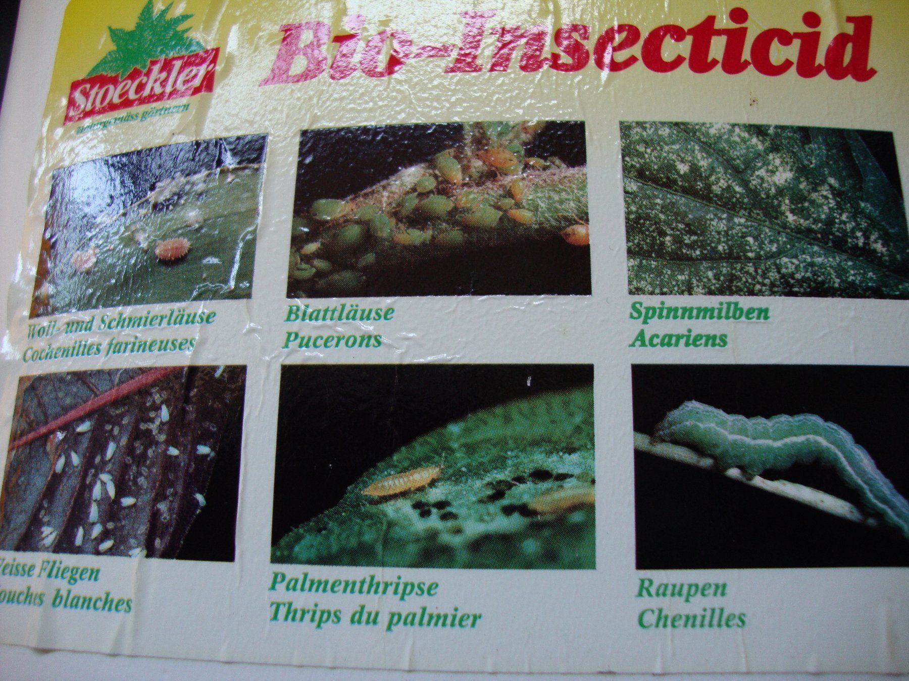 Altro per la casa: Restposten Stoeckler Bio- Insecticid – Nuovo e nell'imballaggio originale da Stetten AG venduto da 48221948 2
