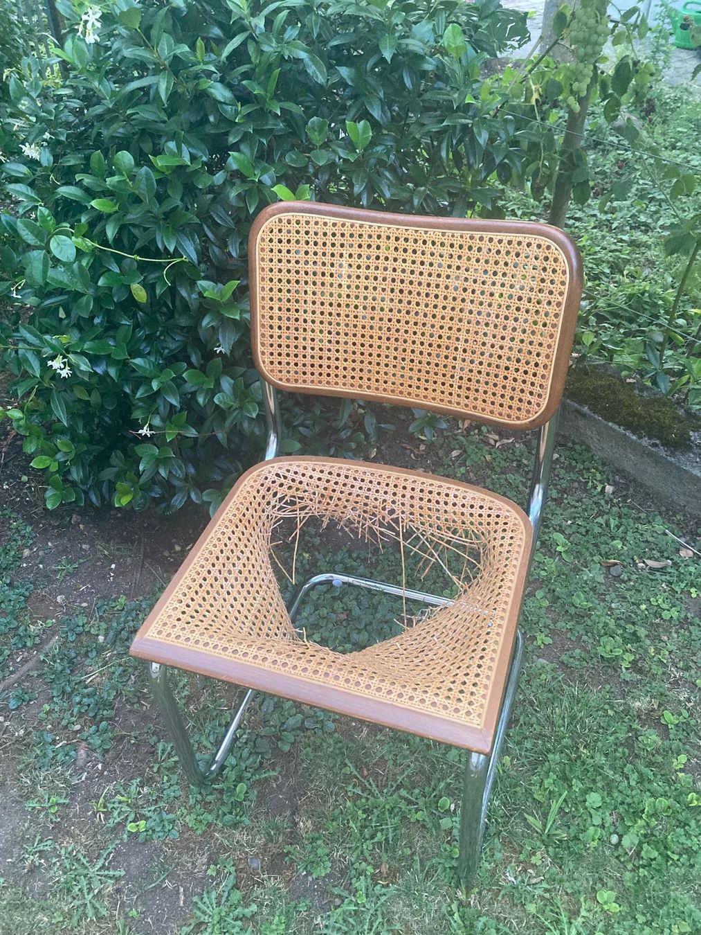 Stühle: Freischwinger in warmen Braun, Sitzfläche defekt – Gebraucht aus Rapperswil SG von cor_vtg9