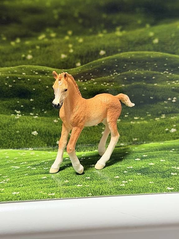 Schleich Statuette: Schleich Fohlen – Usato da Gümligen venduto da Sally777 1