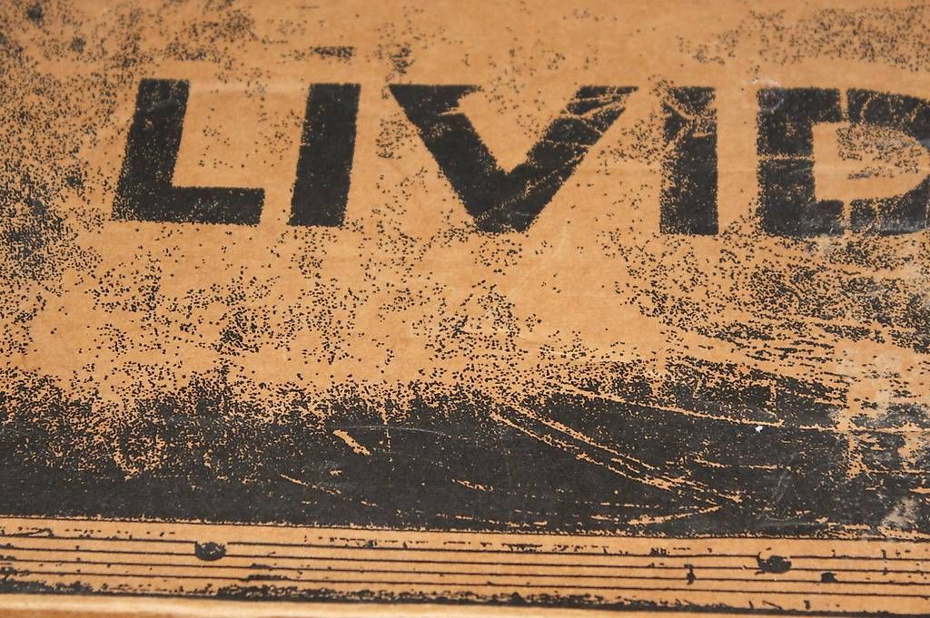 Tutte le macchine: Livid Ohm RGB in OVP – Usato da Lanzenhäusern venduto da kakali50 1
