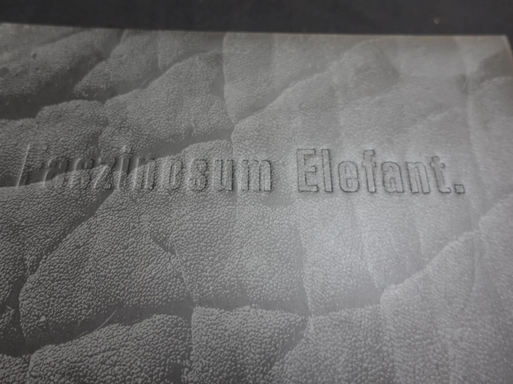 Libri: Faszinosum Elefant mit CD / Dimitri u.a. – Usato da Gutenswil venduto da Optico 1