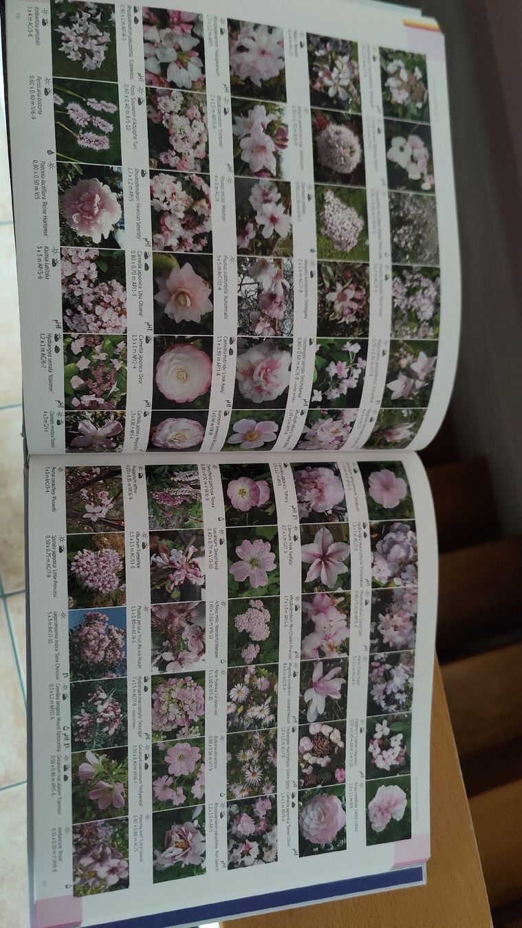 Bücher: Le Nuancier du jardin – Neu (gemäss Beschreibung) aus Giffers von Abzsul 3