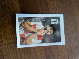 Joško Gvardiol Cola Panini