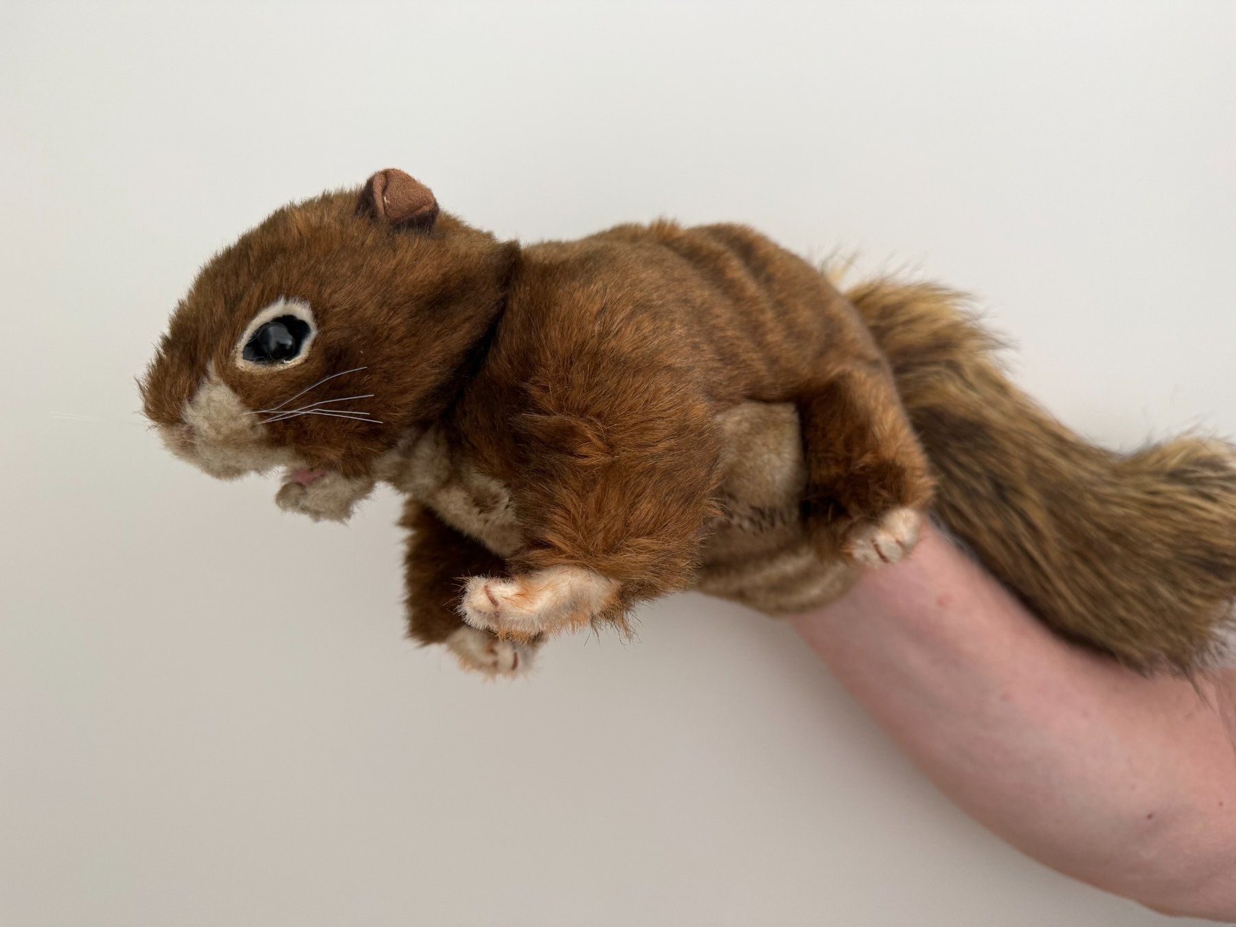 Giocattoli: Folkmanis Handpuppe rotbraunes Eichhörnchen – Usato da Winterthur venduto da brittalili 1