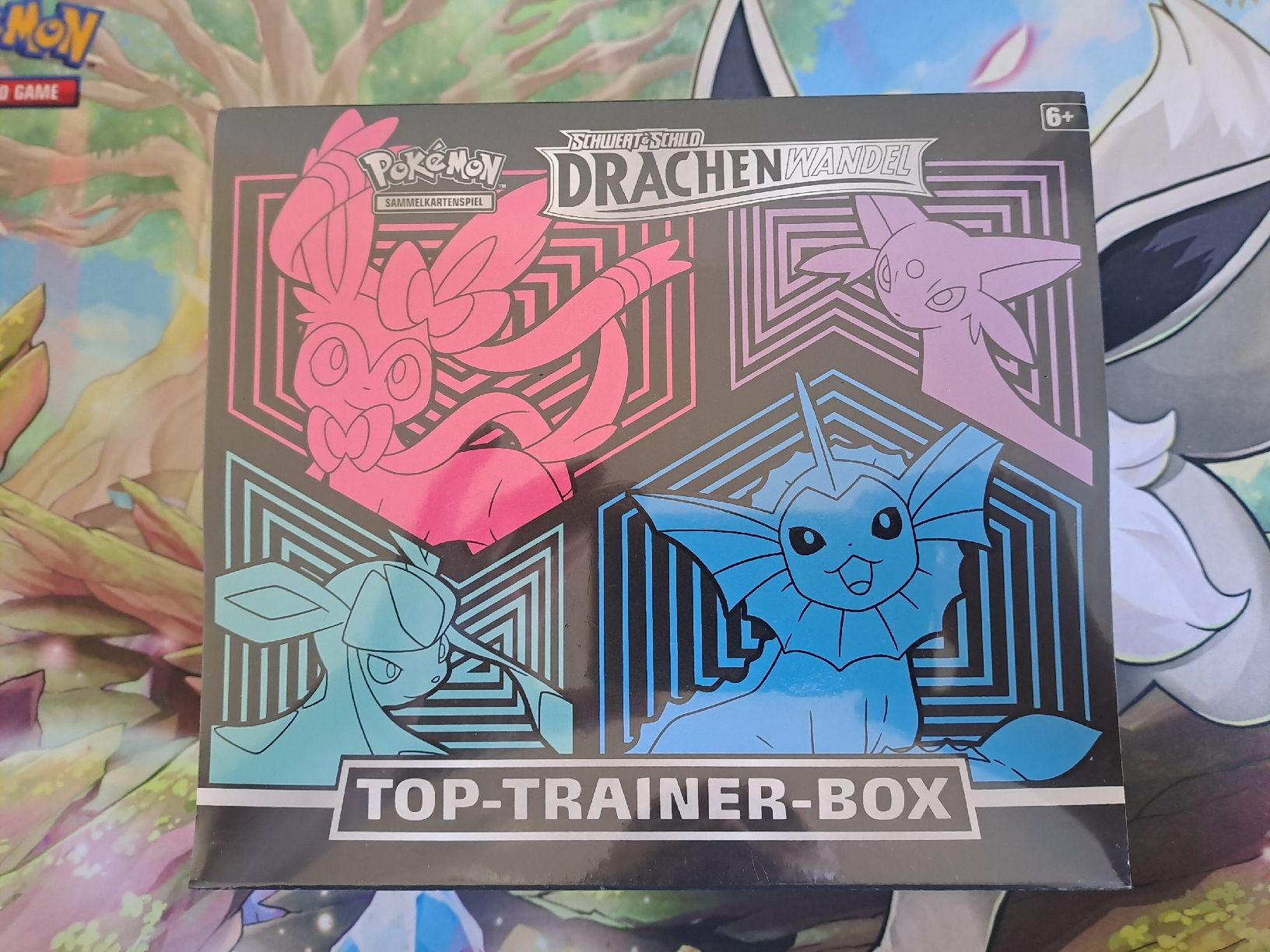 Pokémon Carte collezionabili: Drachenwandel Top Trainer Box – Nuovo (secondo la descrizione) da Basel venduto da mfe_86h9