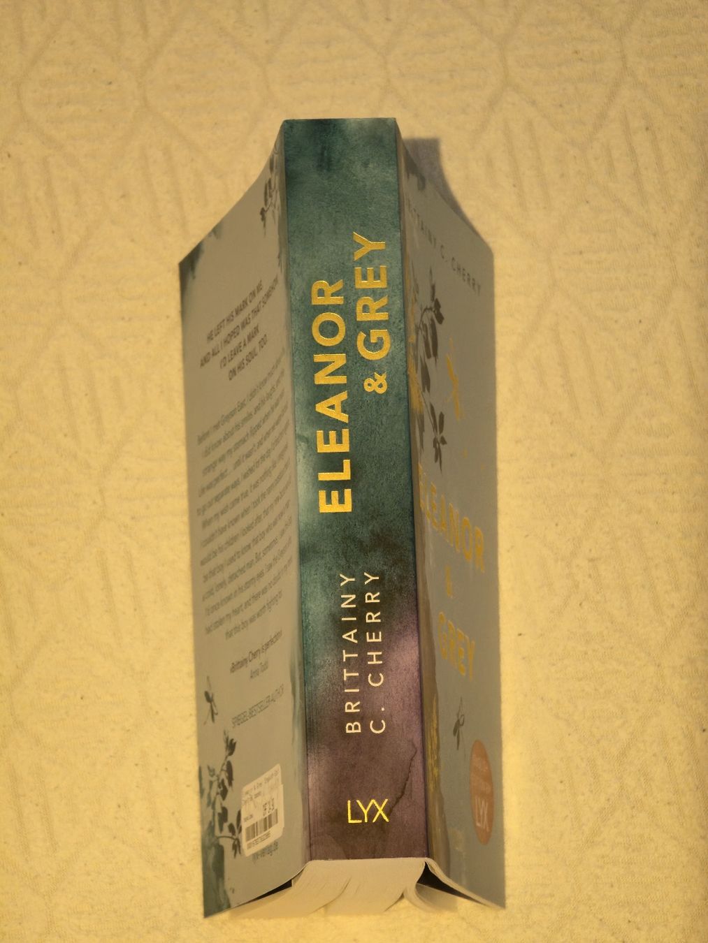 Livres: Buch: Eleanor and Grey – Neuf (Voir description) à Rüegsbach par ste_d9nk 2