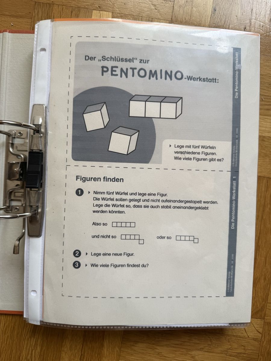Raccoglitori: Unterrichtsmaterial Mathematik  – Usato da Dietikon venduto da Princessy 1