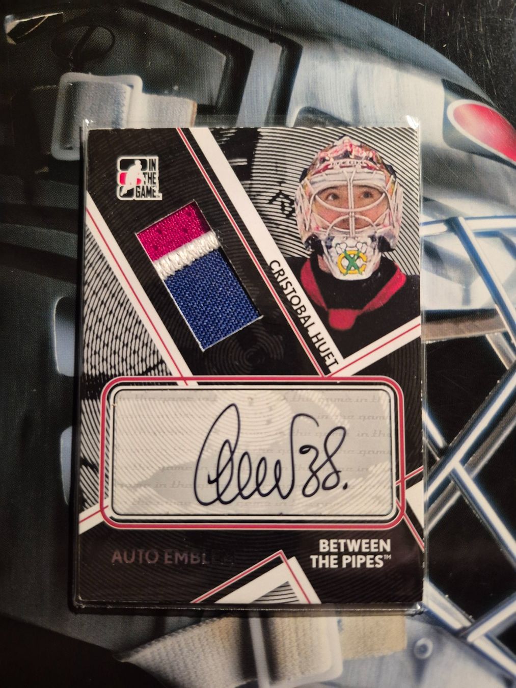 NHL Carte collezionabili: NHL Cristobal Huet Hamilton Bulldogs – Usato da Treiten venduto da Sauber73