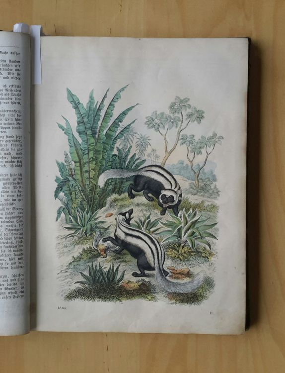 Livres: Das Buch der Welt 1864 . Karl Hoffmann , Stuttgart . – D'occasion à Burgdorf par Olli.34 4