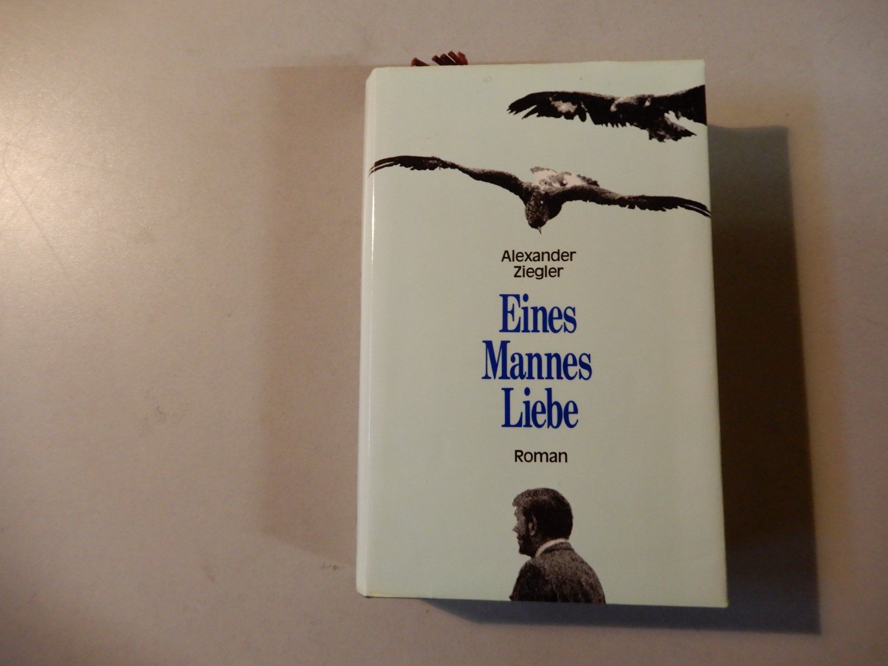 Libri: Alexander Ziegler: Eines Mannes Liebe - Roman – Usato da Erstfeld venduto da Mario_boe0