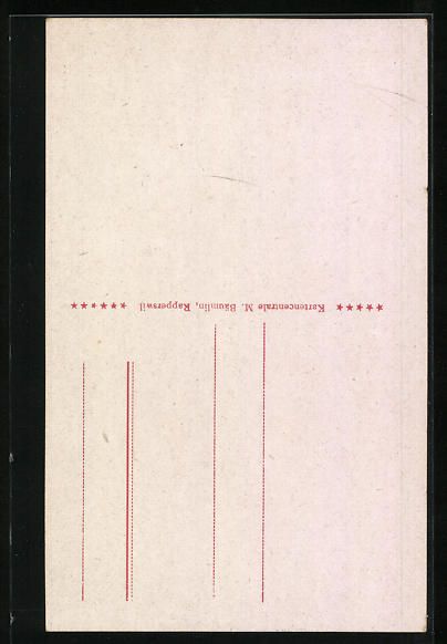 Cartoline postali: AK Rapperswil, Blick durch das Burgtor – Usato da Berlin venduto da bartko-reher 1