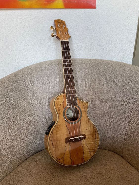 Ibanez UEW20SME Ukulele Kaufen auf Ricardo