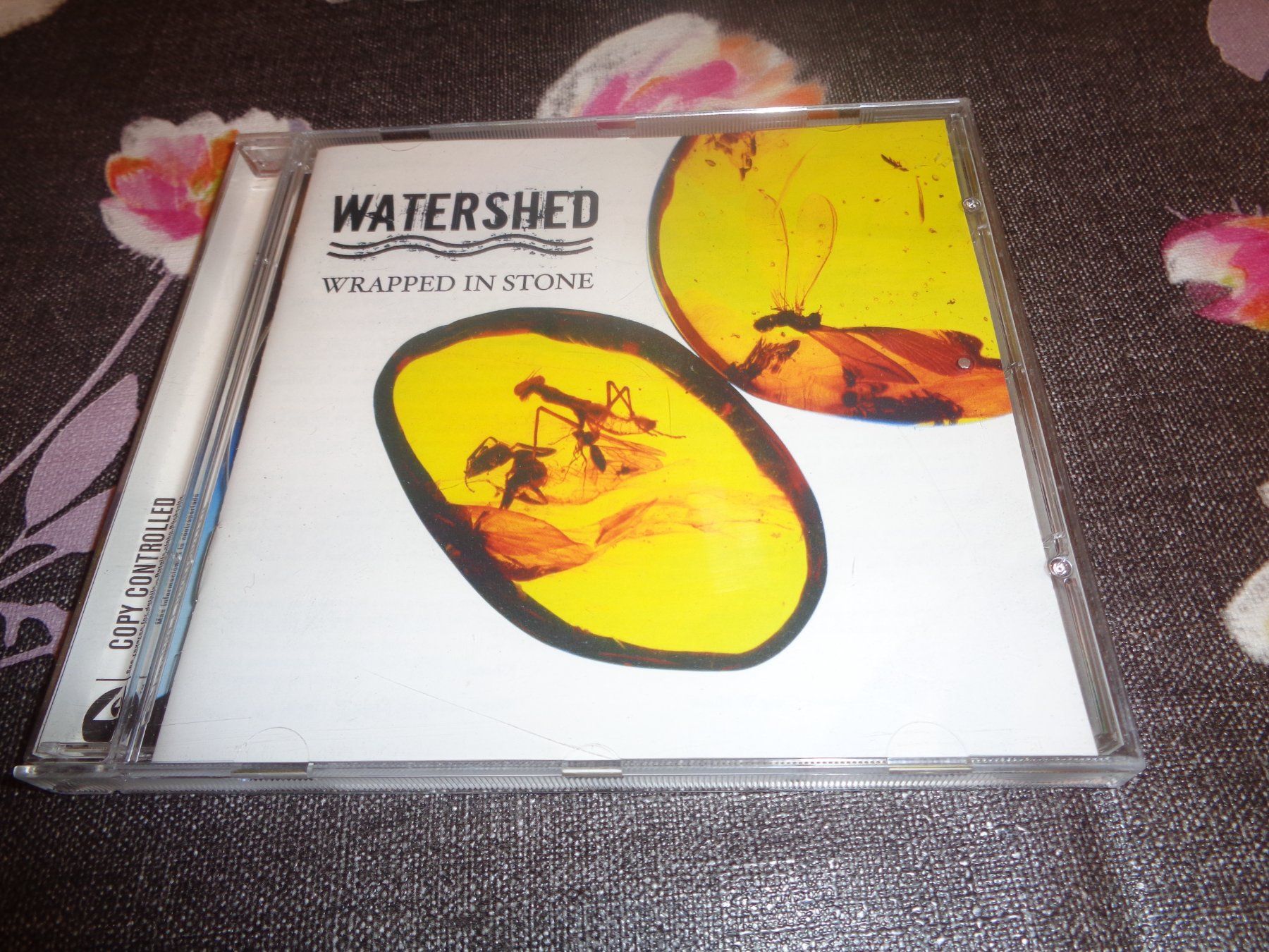 CD: Watershed - Wrapped in Stone CD – Usato da Olten venduto da Disc-Ausverkauf