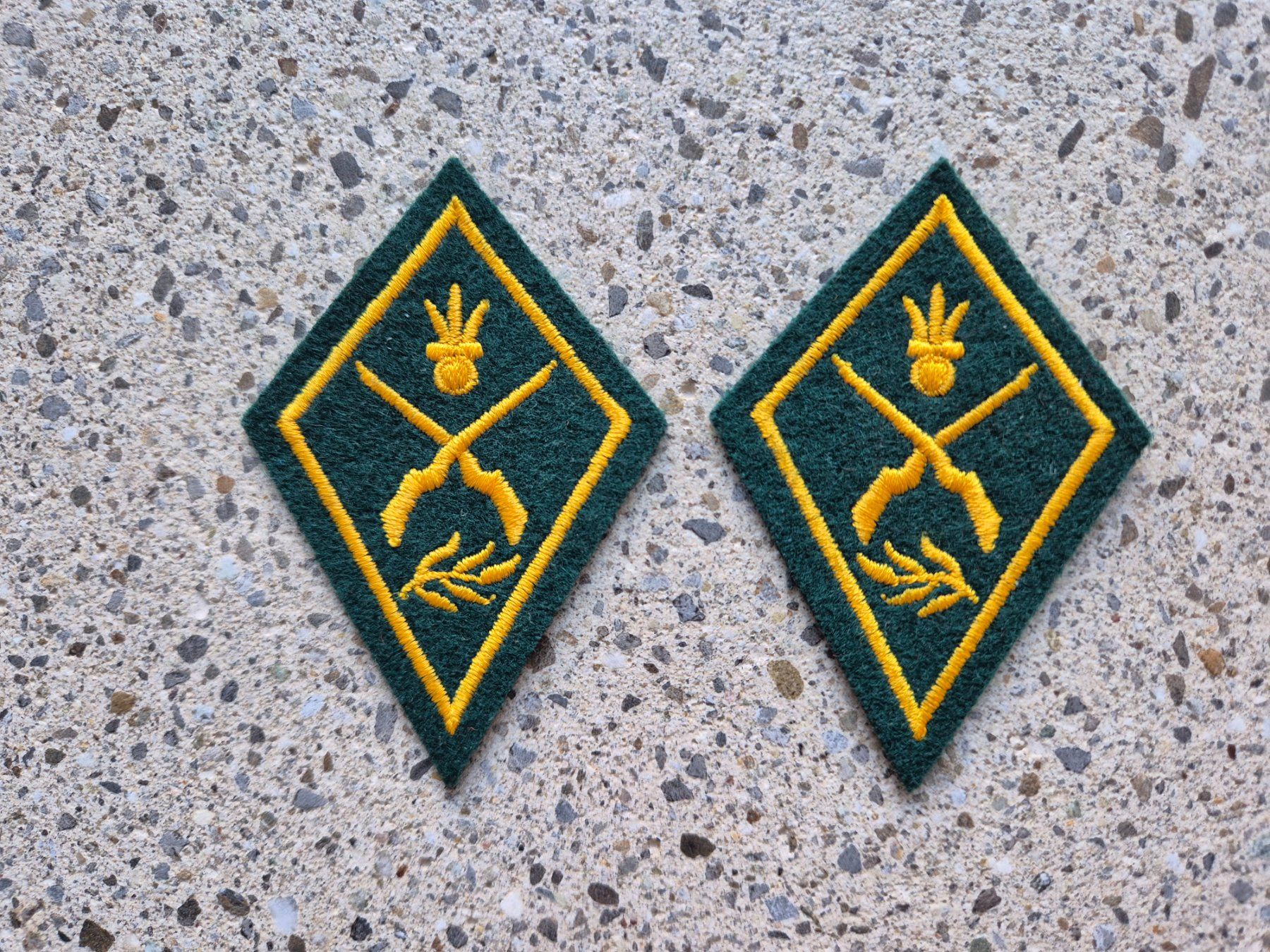 Schweizer Armee Placchette & Badge: *** Kragenspiegel / Kragenpatten *** – Nuovo (secondo la descrizione) da Riedholz venduto da fr_sIruP