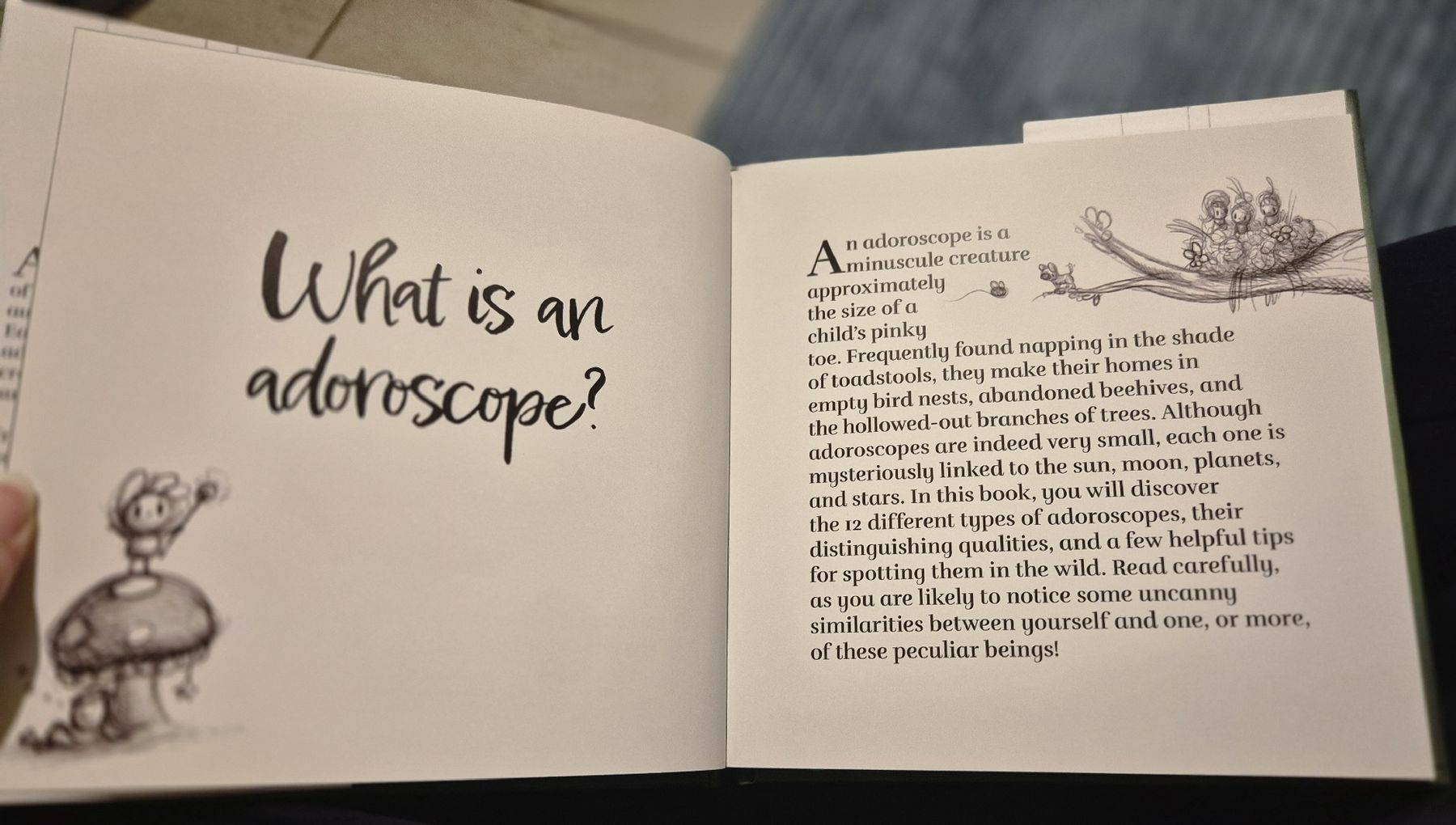 Bücher: ADOROSCOPES Buch mit Plüschtier – Neu (gemäss Beschreibung) aus Thalwil von Carinzia 3