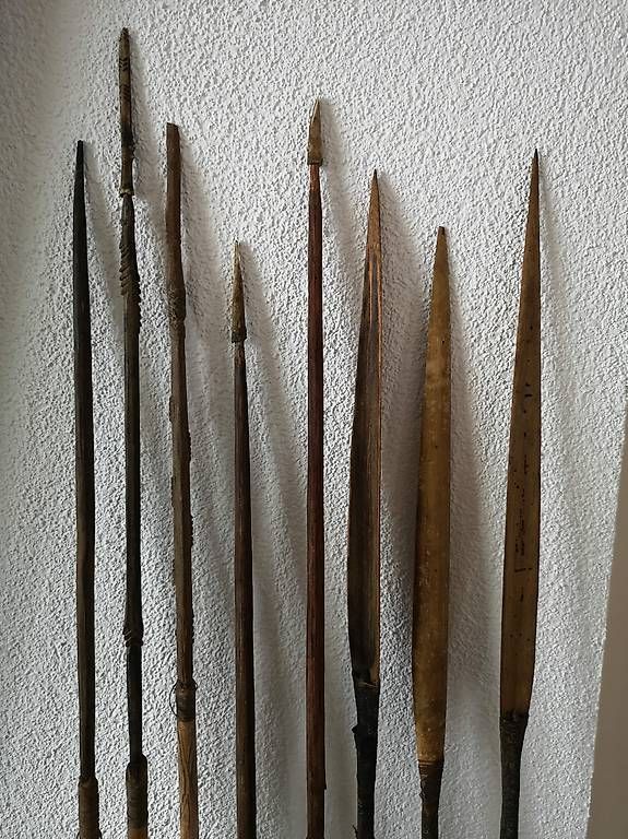 Tiro con l'arco: Langbogen mit Pfeilen und Schild – Usato da Berneck venduto da Schlings 1