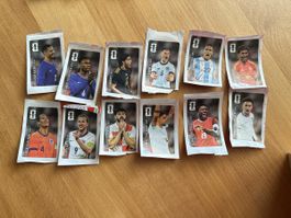ALLE 12 Colabilder fürs Paninialbum 2026!