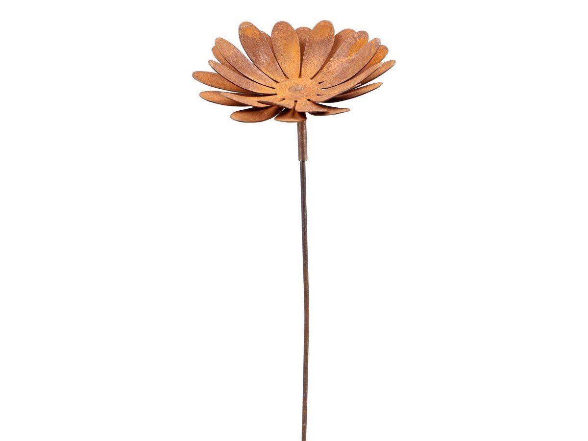 Tutte le decorazioni: Gartenstecker Blüte Rost 100cm – Nuovo e nell'imballaggio originale da Matzendorf venduto da Gartendeko-Shop 1