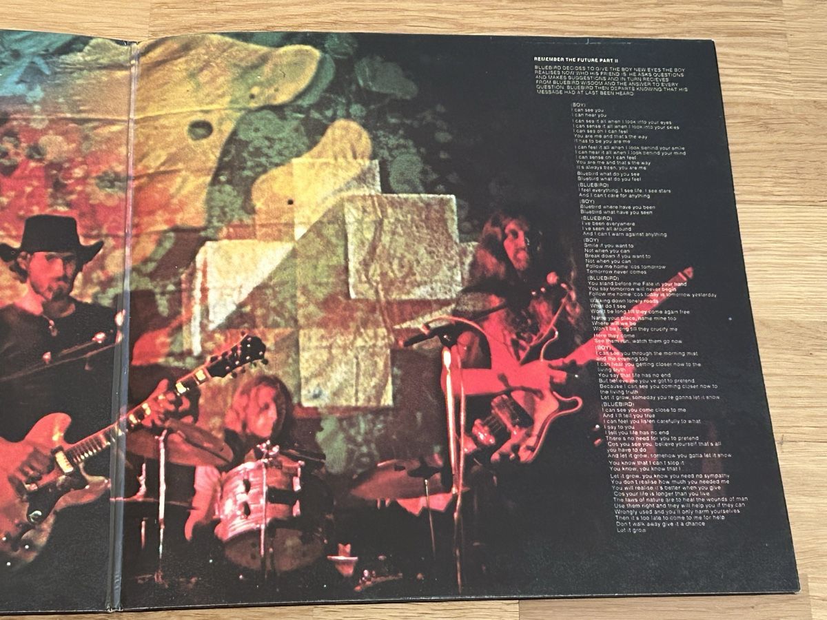Vinyles: nektar. 1973. remember the future – D'occasion à Faulensee par Mizuno06 2
