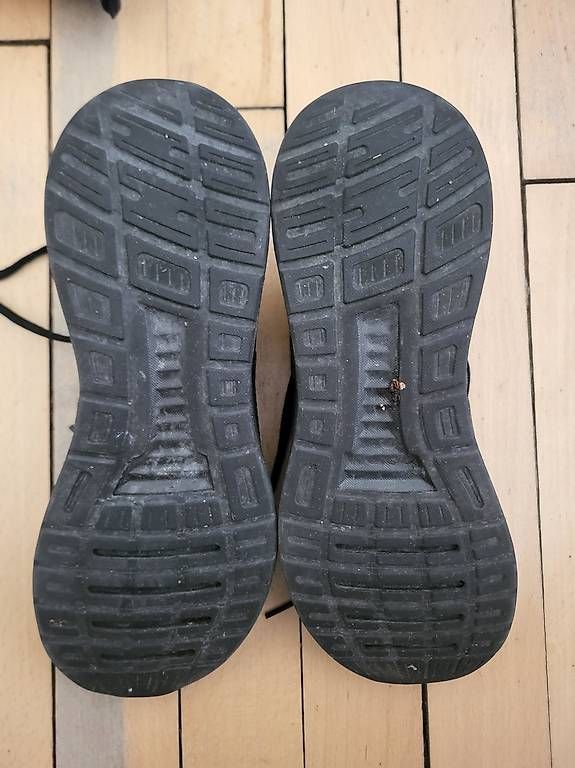 Chaussures hommes: Adidas Firebird 42 2/3 – D'occasion à Zürich par nikostr 3