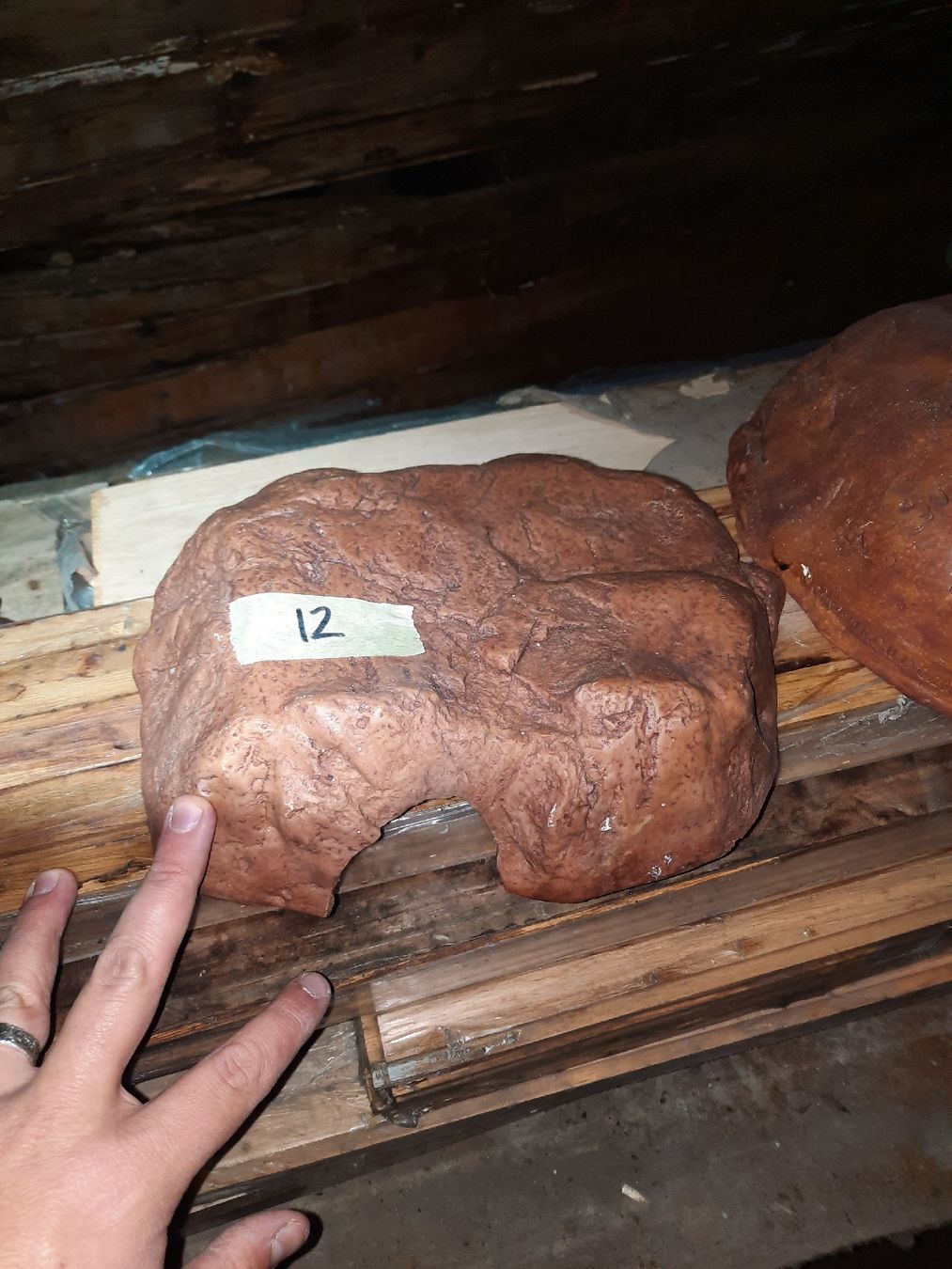 Lot 12 : accessoire pour terrarium / cachette à reptiles (D'occasion) à ...