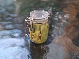 Handmade Einmachglas Essiggurken