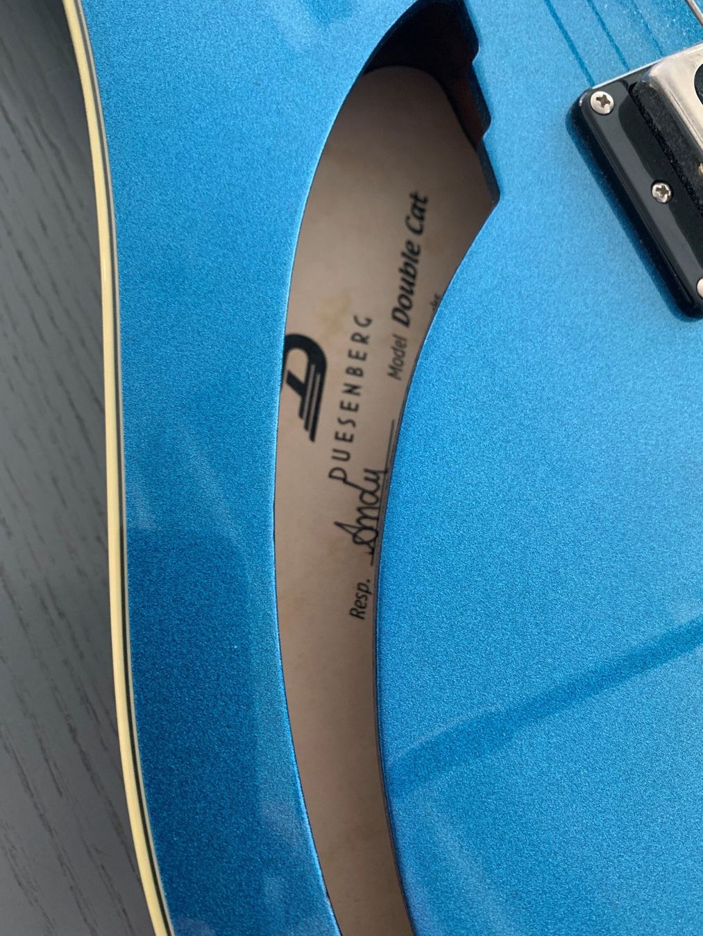 Düsenberg Strumenti musicali: Gitarre Duesenberg Double Cat – Usato da Bellmund venduto da Nussmusic 4
