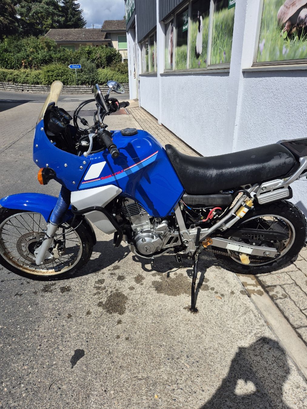 Yamaha Enduro: yamaha tenere xtz660 – Defekt aus Satigny von Marlingva 1