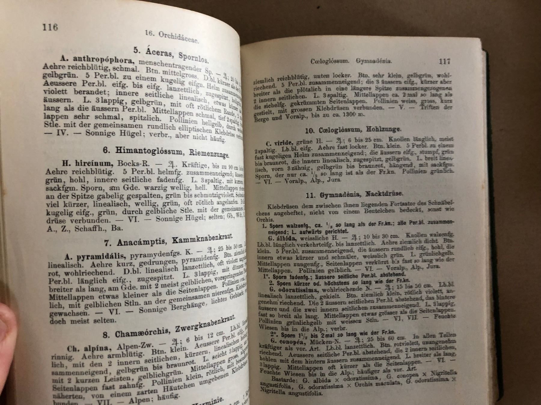 Bücher: H. Schinz/R. Keller: Flora der Schweiz – Gebraucht aus Zürich von allp 5