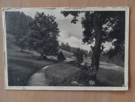 Braunwald - 1913