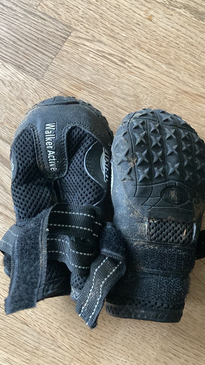 Bekleidung: Hunde Schuhe Gr 7 – Gebraucht aus Steffisburg von bergfraueli7 1