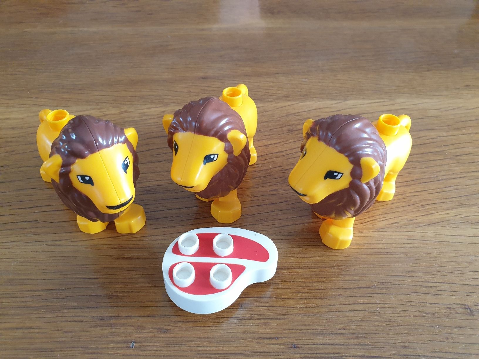 Giocattoli: Duplo Set Löwen (Y109) – Usato da Münchwilen TG venduto da VT-Trader