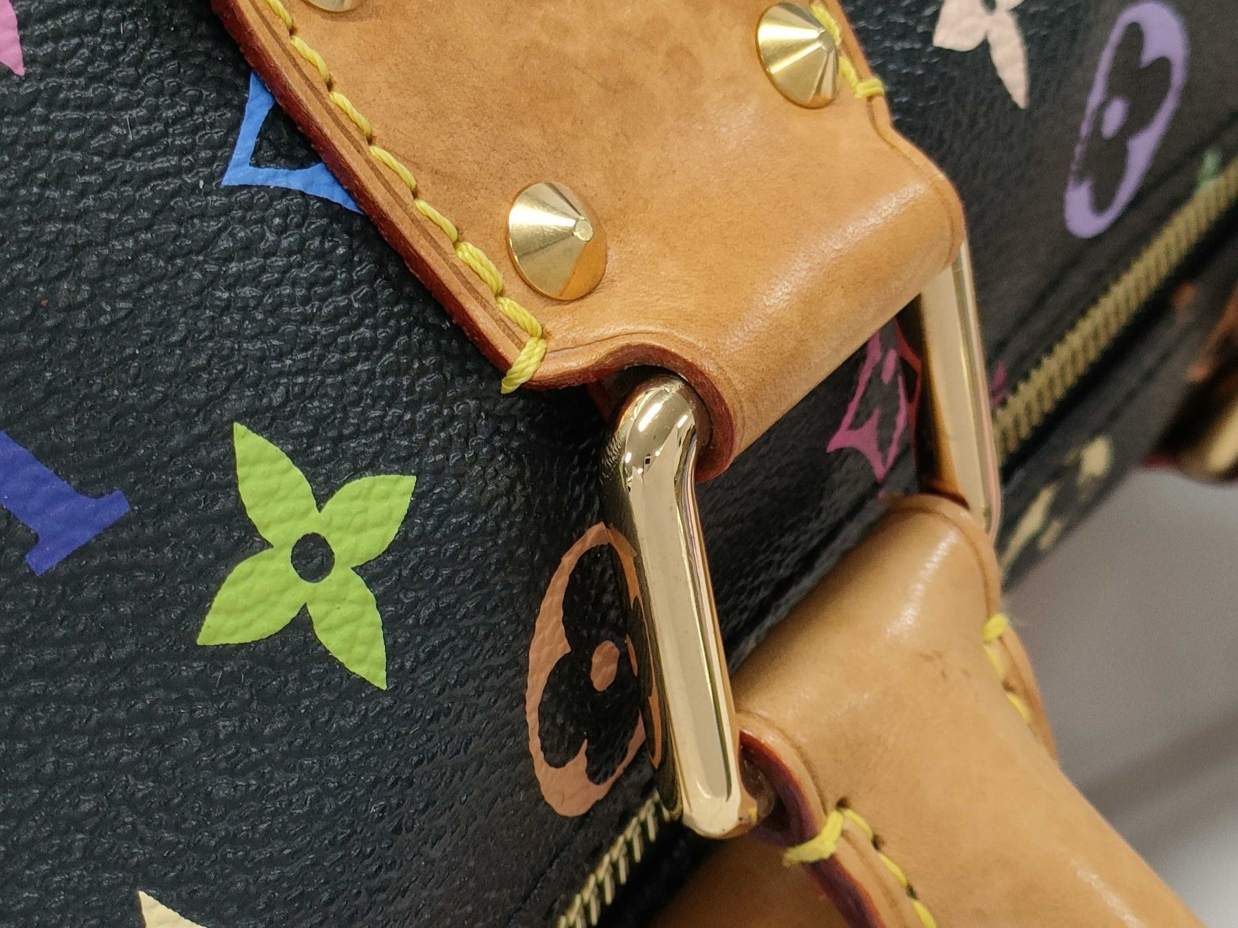 Louis Vuitton Borse da donna: Louis Vuitton Speedy Multicolor, Limited Edition – Usato da St. Gallen venduto da Love_Luxury 4