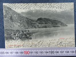 VITZNAU 1906 LU AK