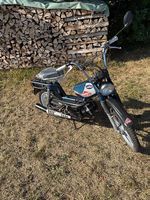 Mofa Sachs 503 Breitwand KTM Pony GTX