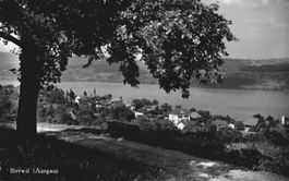 Alte Ansichtskarte von Birrwil Aargau mit See, Rarität! 1966