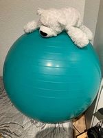 Gymnastikball