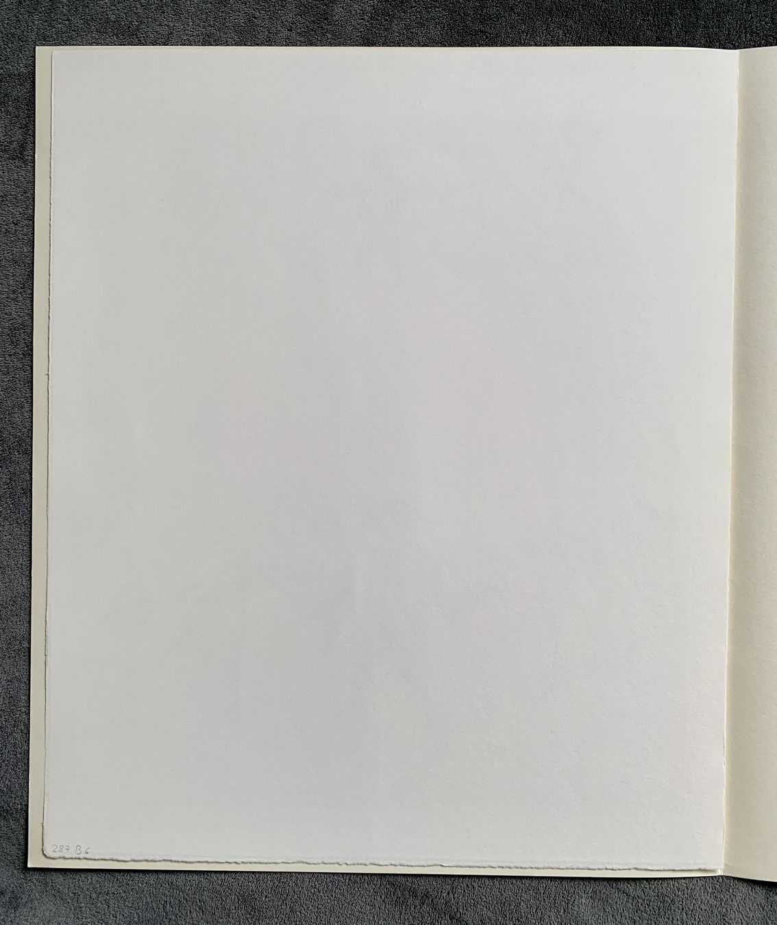Grafiken & Lithographien: Kiki Smith - Lithographie Bat – Gebraucht aus Regensdorf von JoergR 6