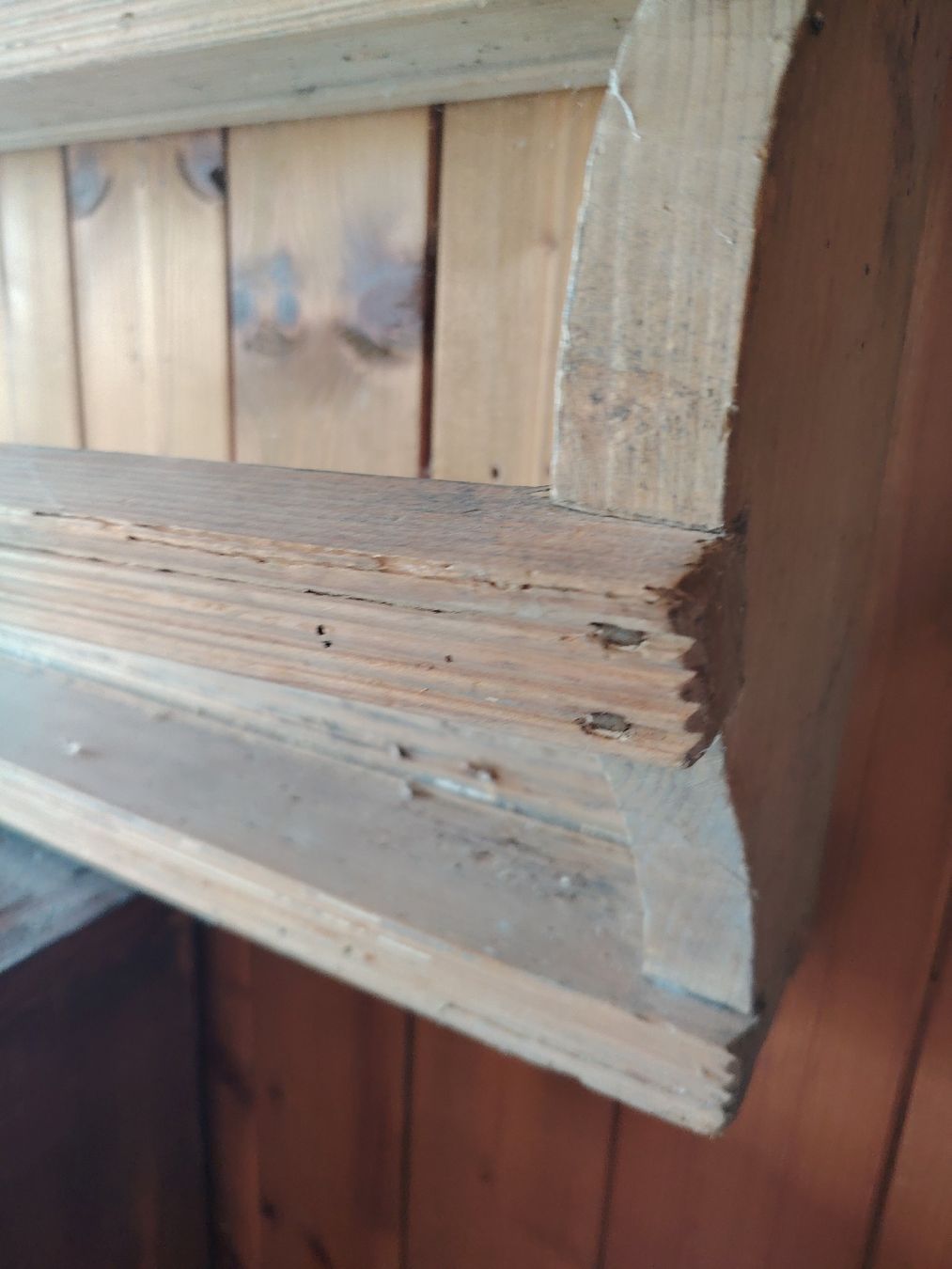 Regale: Holzregale  – Gebraucht aus Matzingen von sel_h9dl 2