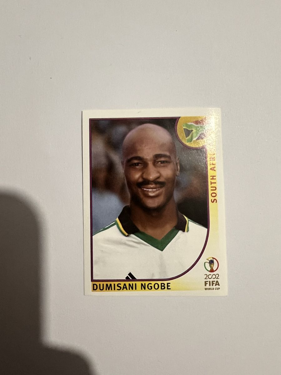 Panini Carte collezionabili: Panini WM02 Bild – Usato da Willisau venduto da Neiro77