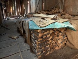 1 Ster Brennholz Buche
