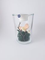 Primavera Vase Transparent Bunt Glas