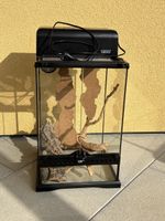 Terrarium für Insekten / Mantis
