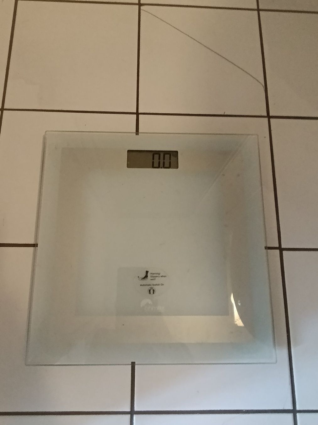 Personenwaagen: Personenwaage – Gebraucht aus Luzern von alex_bog