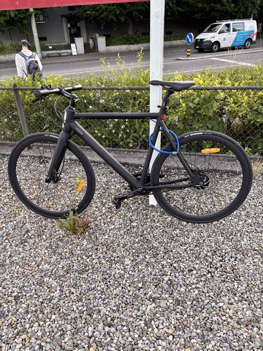 Biciclette: Ampler Bikes E-Bike custom frame 250W – Usato da Winterthur venduto da clubo