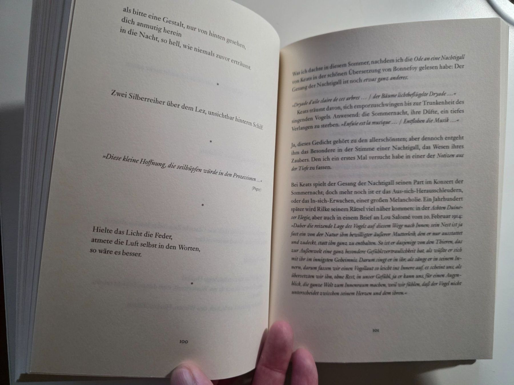 Libri: Philippe Jaccottet - Die wenigen Geräusche - 2020 – Nuovo (secondo la descrizione) da Walterswil BE venduto da Lonitti 7