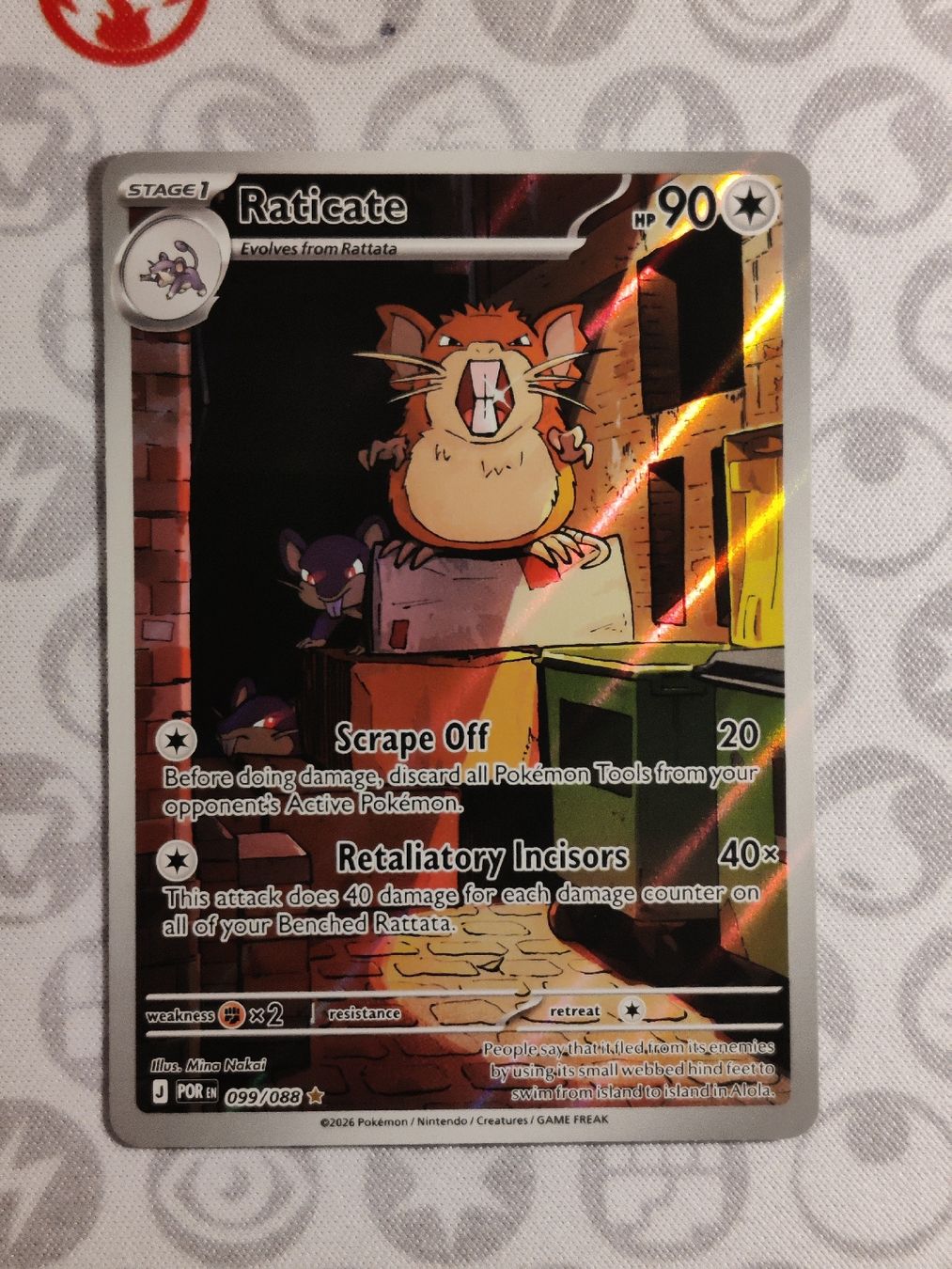 Pokémon Carte collezionabili: Raticate POR 099/088 EN – Nuovo (secondo la descrizione) da Steffisburg venduto da HMStufi
