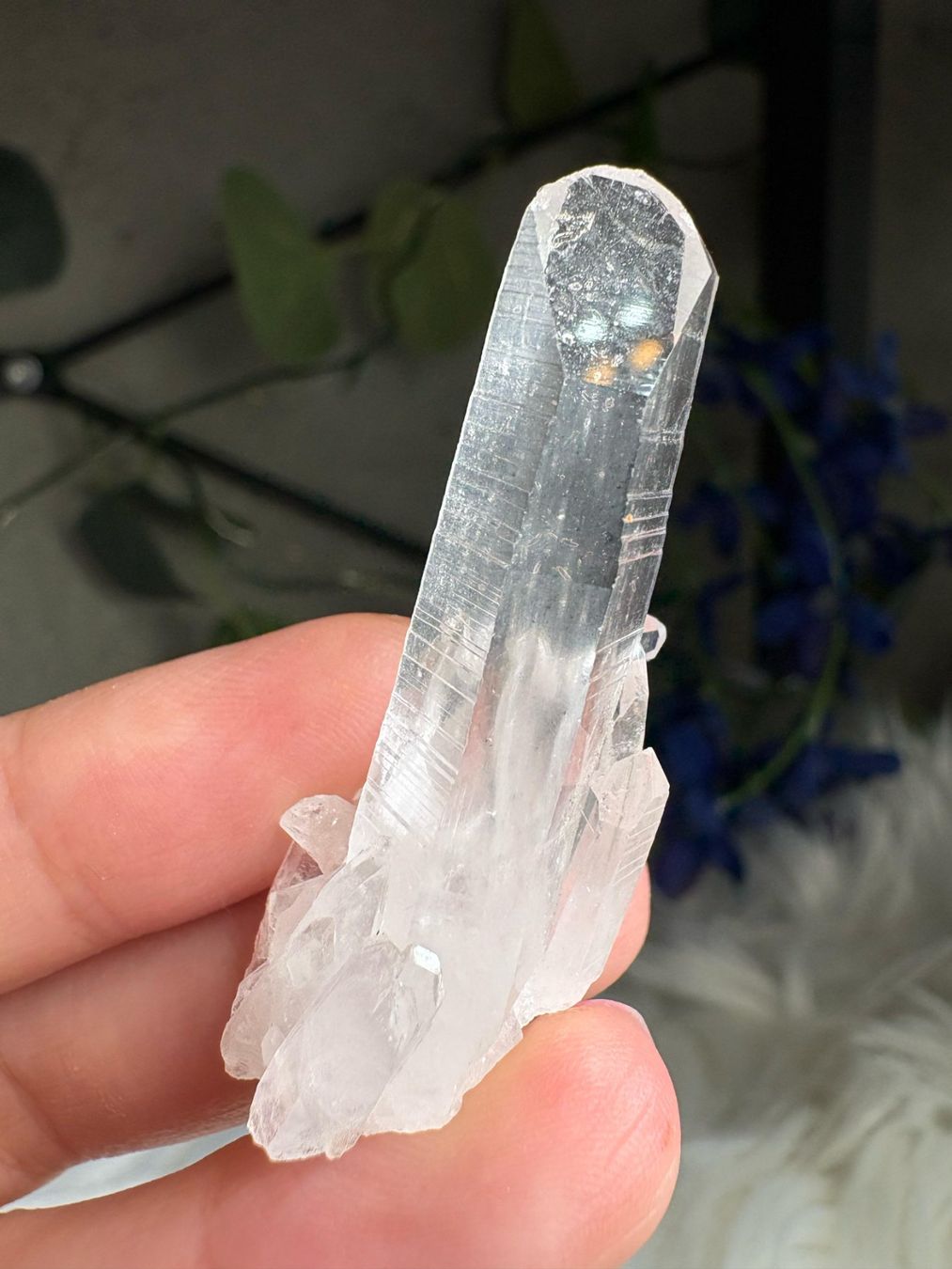 Minerali & Pietre curative: Kolumbianischer Lemurian-Quarz-Cluster – Nuovo (secondo la descrizione) da Neuheim venduto da m.hald 6
