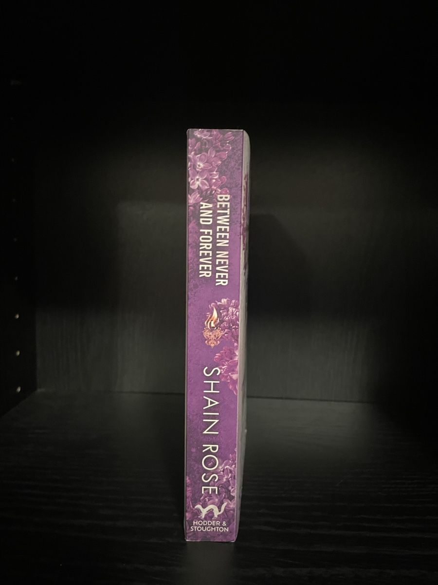 Libri: Between never and forever by Shain Rose – Nuovo (secondo la descrizione) da Münchenstein venduto da yal_c6lx 1